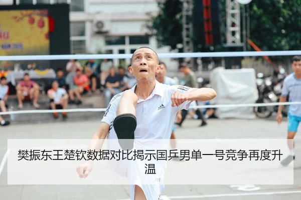 樊振东王楚钦数据对比揭示国乒男单一号竞争再度升温